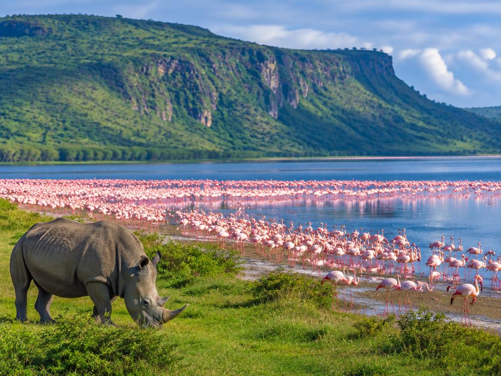 Lake Nakuru